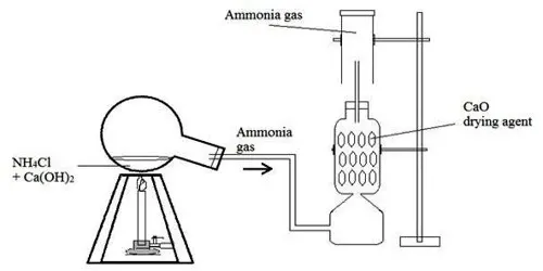 Laboratory Preparation of Ammonia Gas